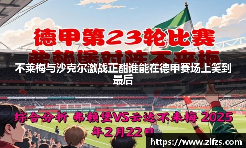 不莱梅与沙克尔激战正酣谁能在德甲赛场上笑到最后
