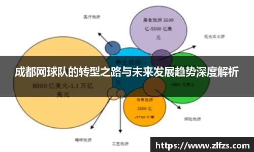 成都网球队的转型之路与未来发展趋势深度解析